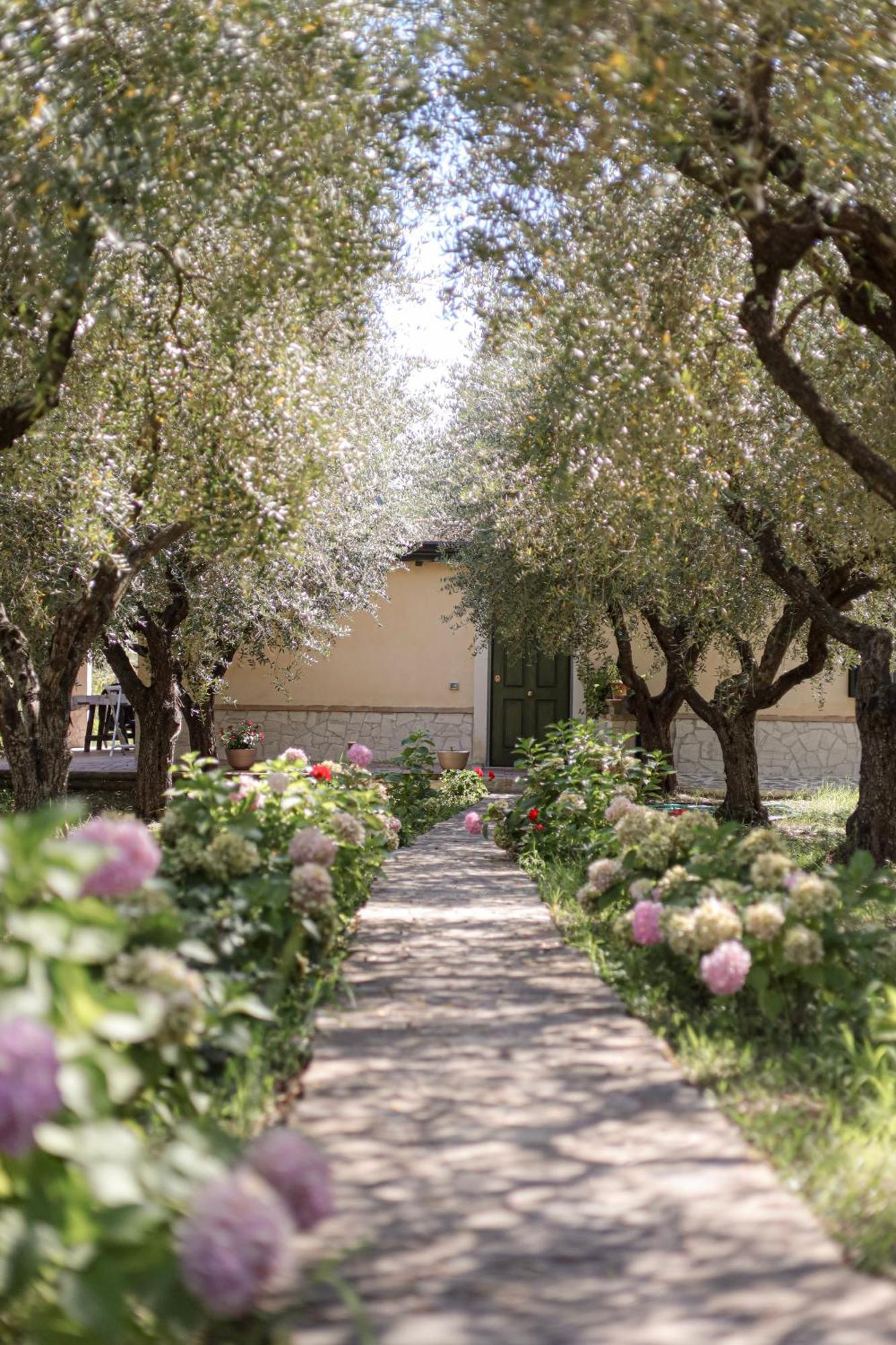 Agriturismo Il Pozzo Casal Velino Eksteriør bilde